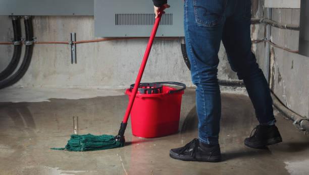 Best Local water damage restoration  in Luling, TX