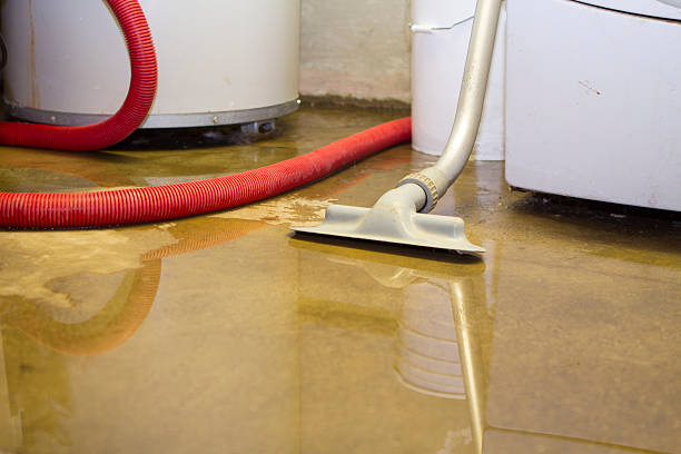 Best Water damage restoration near me  in Luling, TX