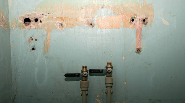 Best Water damage cleanup near me  in Luling, TX
