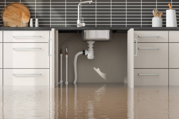 Best Basement water damage restoration  in Luling, TX