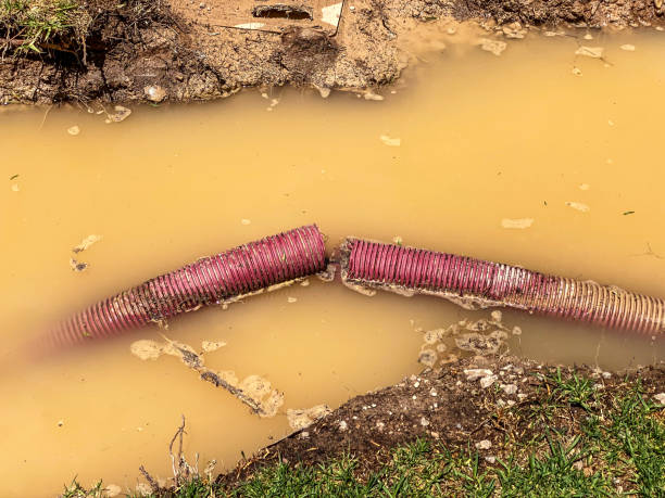 Best Water damage contractors near me  in Luling, TX
